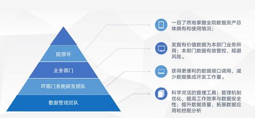 標準信息公共服務數據治理實踐 某市標準技術研究院軟件開發項目的深度解析